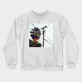 Arizona Print Crewneck Sweatshirt